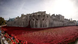 Patru bărbaţi, arestaţi în Marea Britanie în legătură cu pregătirea unor acţiuni teroriste: Ar fi putut să plănuiască un atac armat într-un loc public