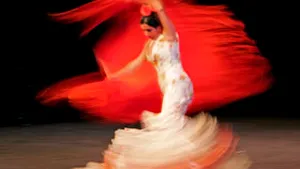 Spaniolii, în căutare de versuri pentru imnul naţional