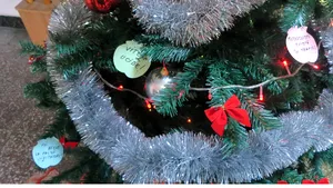 CRĂCIUN 2015 - Poliţiştii din Călăraşi au compus un colind cu sfaturi pentru localnici: ”Aho, aho, mămici şi taţi” - FOTO