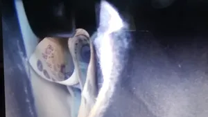 Poliţist prins în flagrant când lua mită: Unde i-a dat prin cap să ascundă banii - FOTO