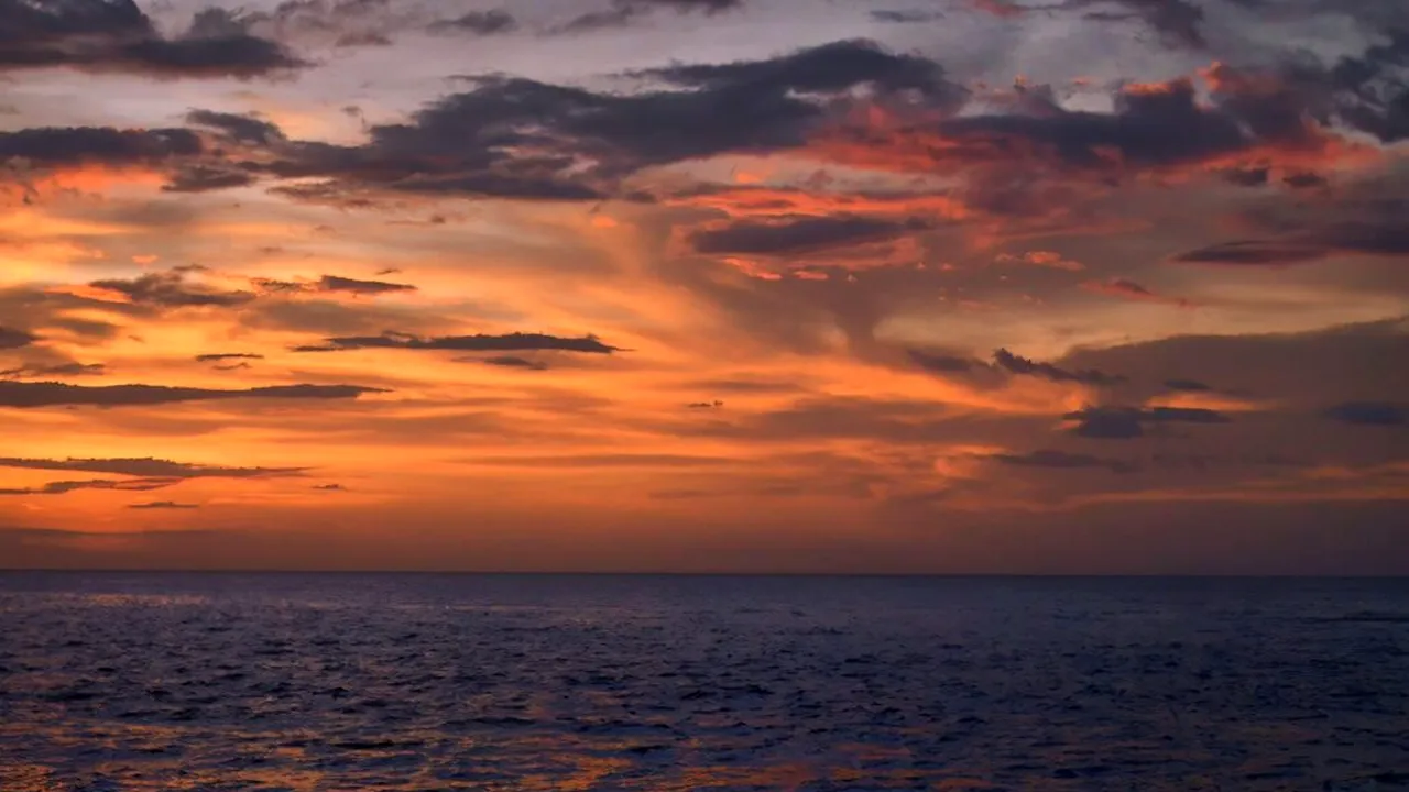 Un mister nerezolvat. Creatura marină uriașă pe care cercetătorii nu au văzut-o niciodată