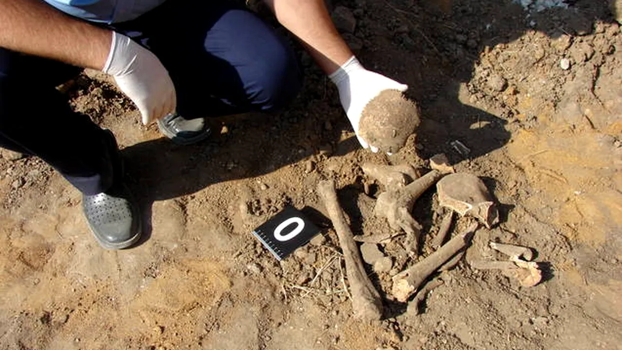 Mai multe oseminte, descoperite în timpul unor excavări într-o parcare din oraşul Strehaia - FOTO