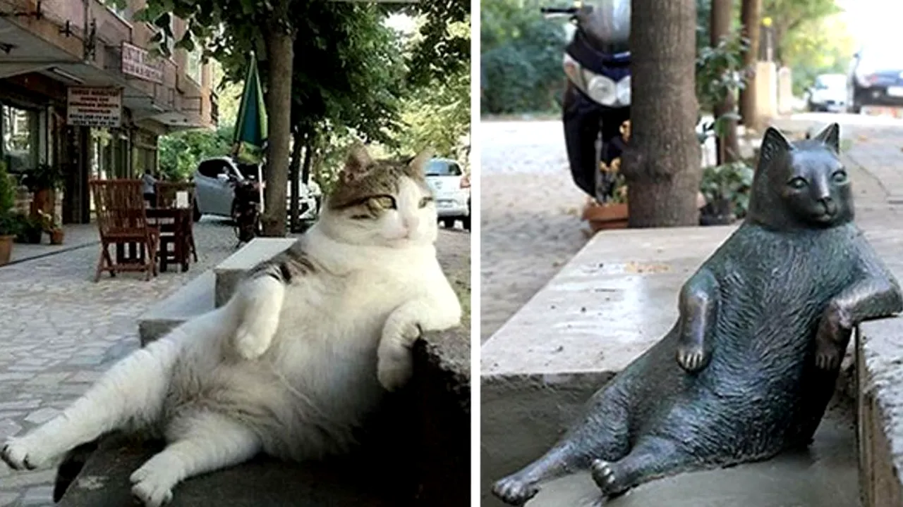 Motanul rotofei şi nonşalant Tombili din Istanbul, care a devenit viral, onorat cu o statuie - FOTO, VIDEO 