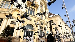 Numărul turiştilor care s-au cazat la Sibiu în 2012, mai mare decât în anul Capitalei Culturale