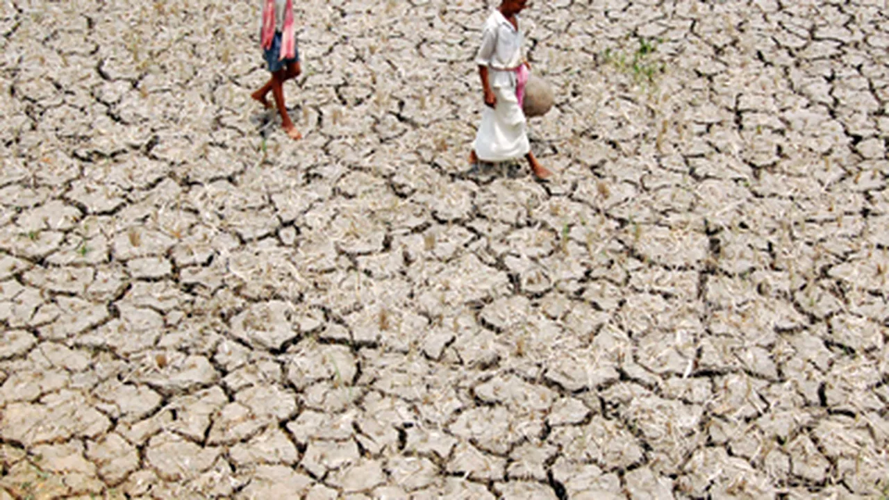 Bill Gates oferă 120 de milioane de dolari pentru agricultura din Africa şi India - GALERIE FOTO