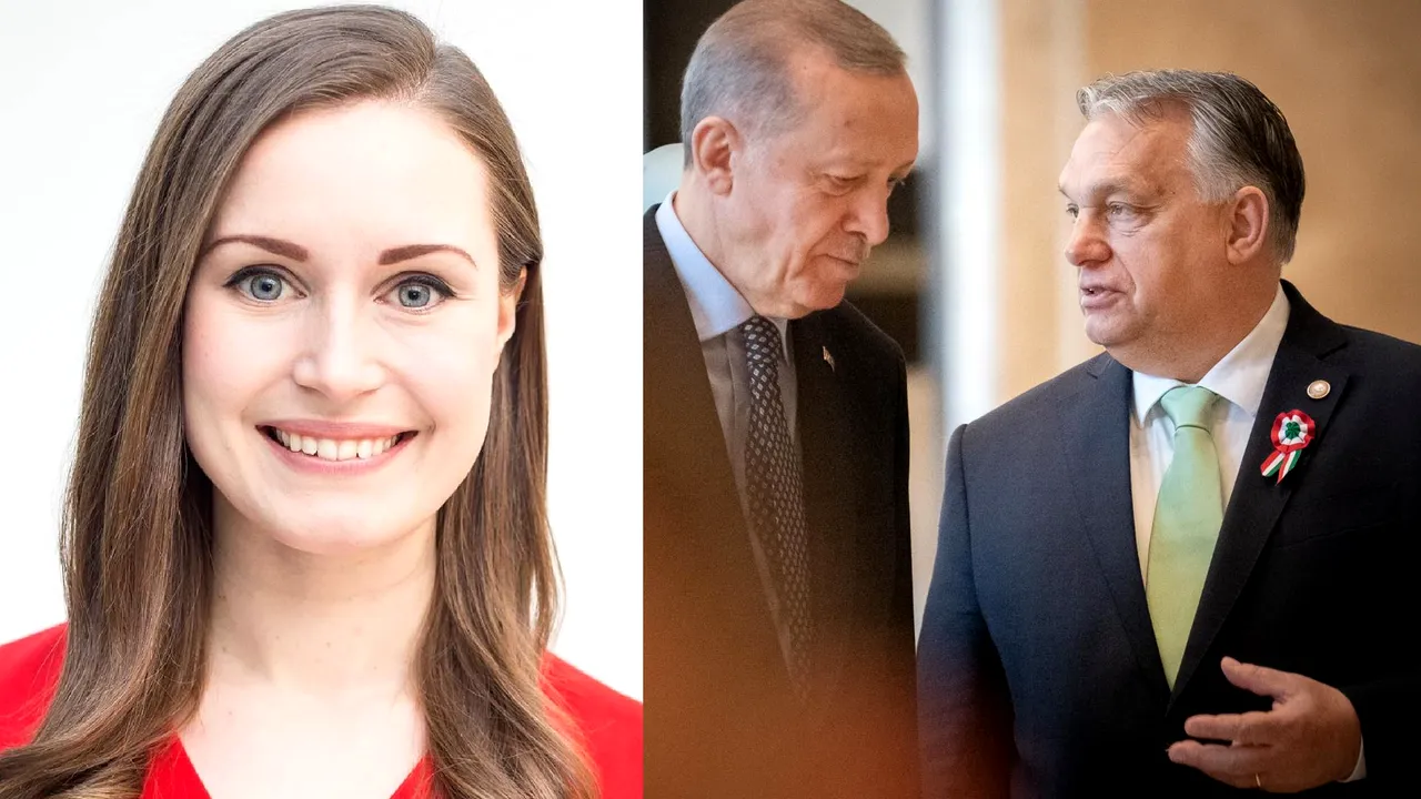 Finlanda devine membrul nr. 31 al NATO după votul favorabil din partea Turciei şi Ungariei 