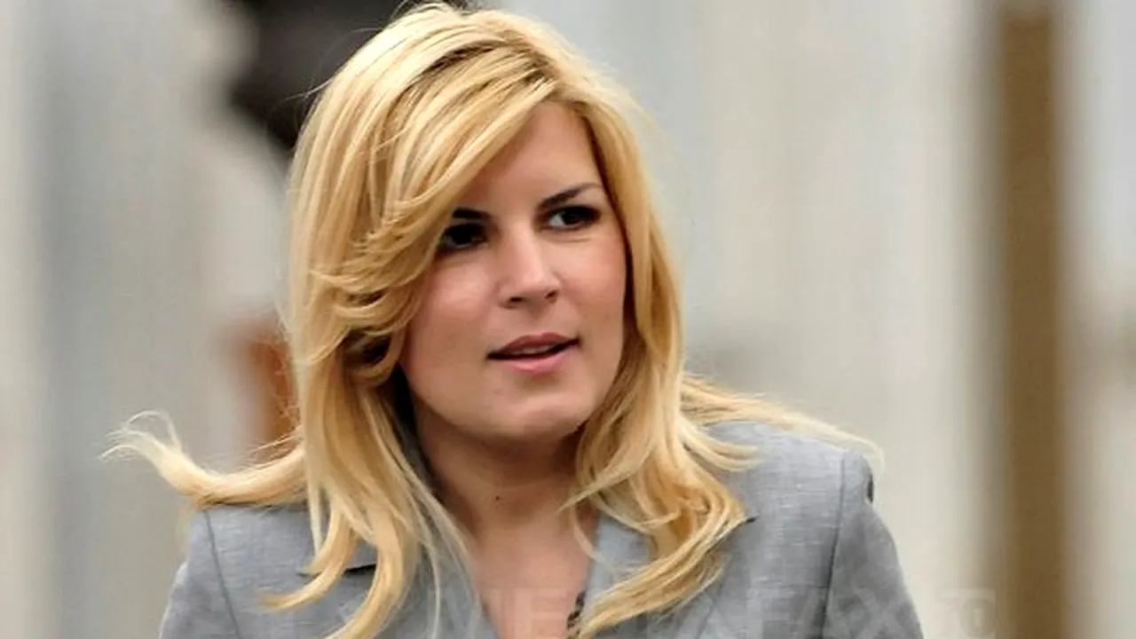 Udrea: Protestele sunt absolut justificate, dar soluţia nu e să-l schimbi pe Boc cu Ponta. PDL n-a comunicat destul cu oamenii