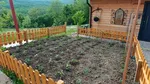 Detaliul care îți poate salva grădina: Care este cel mai bun moment al zilei pentru udarea grădinilor în sezonul cald