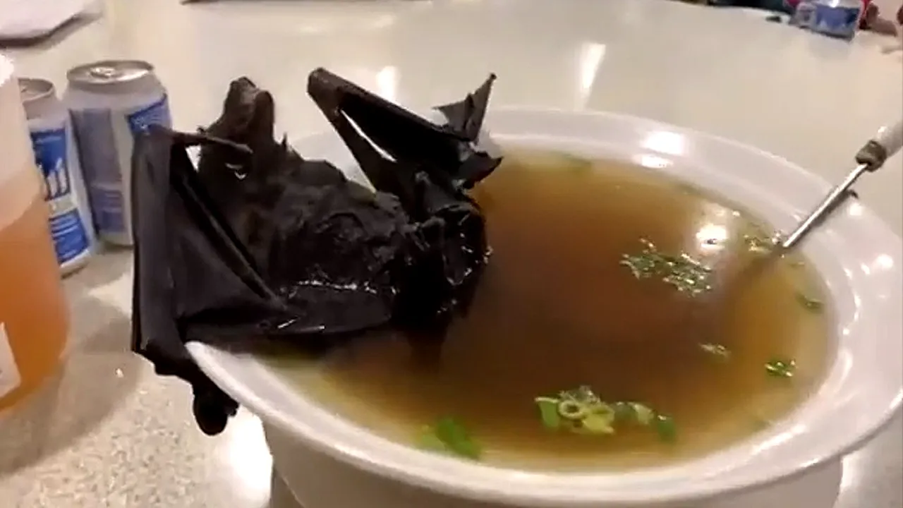 Coronavirusul din Wuhan. Imagini cu asiatici mâncând supă de liliac au declanşat polemici pe reţelele de socializare. VIDEO