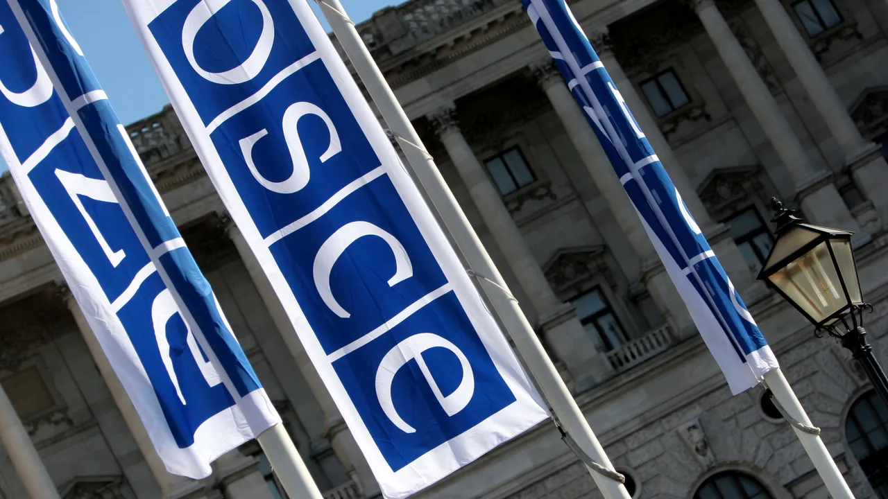 OSCE afirmă că membri ai organizaţiei au fost privaţi de libertate în Doneţk şi Luhansk