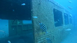 Vagoanele vechi de metrou din Atlanta îşi găsesc un nou scop pe fundul oceanului