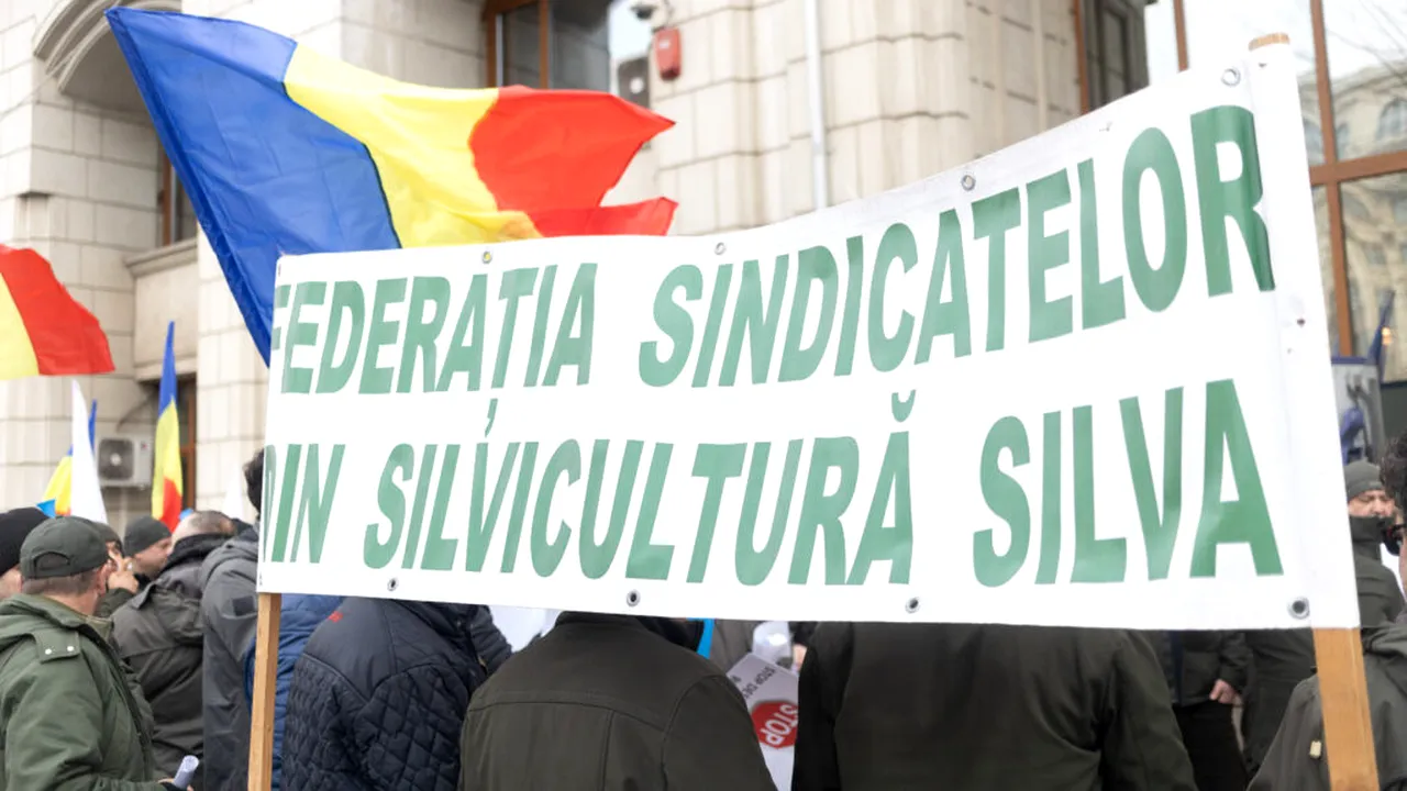 Federația SILVA: Ministerul Justiției solicită refacerea proiectului de HG privind „reforma