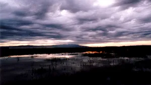 Romania To Have Nearly Optimal Weather This Year