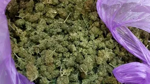 Bărbat prins în flagrant când voia să vândă 15 kg de canabis. Ce sumă uriaşă încerca să obţină - FOTO, VIDEO