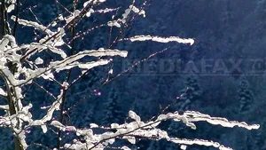 OFERTE DE SĂRBĂTORI: Crăciun la Castelul Dracula şi Revelion cu SPA, bal sau orchestră, în Bistriţa-Năsăud