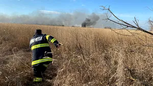 FOTO: Incendiu puternic de vegetaţie în Rezervaţia Grindul Lupilor din Constanţa. 300 de hectare au fost distruse