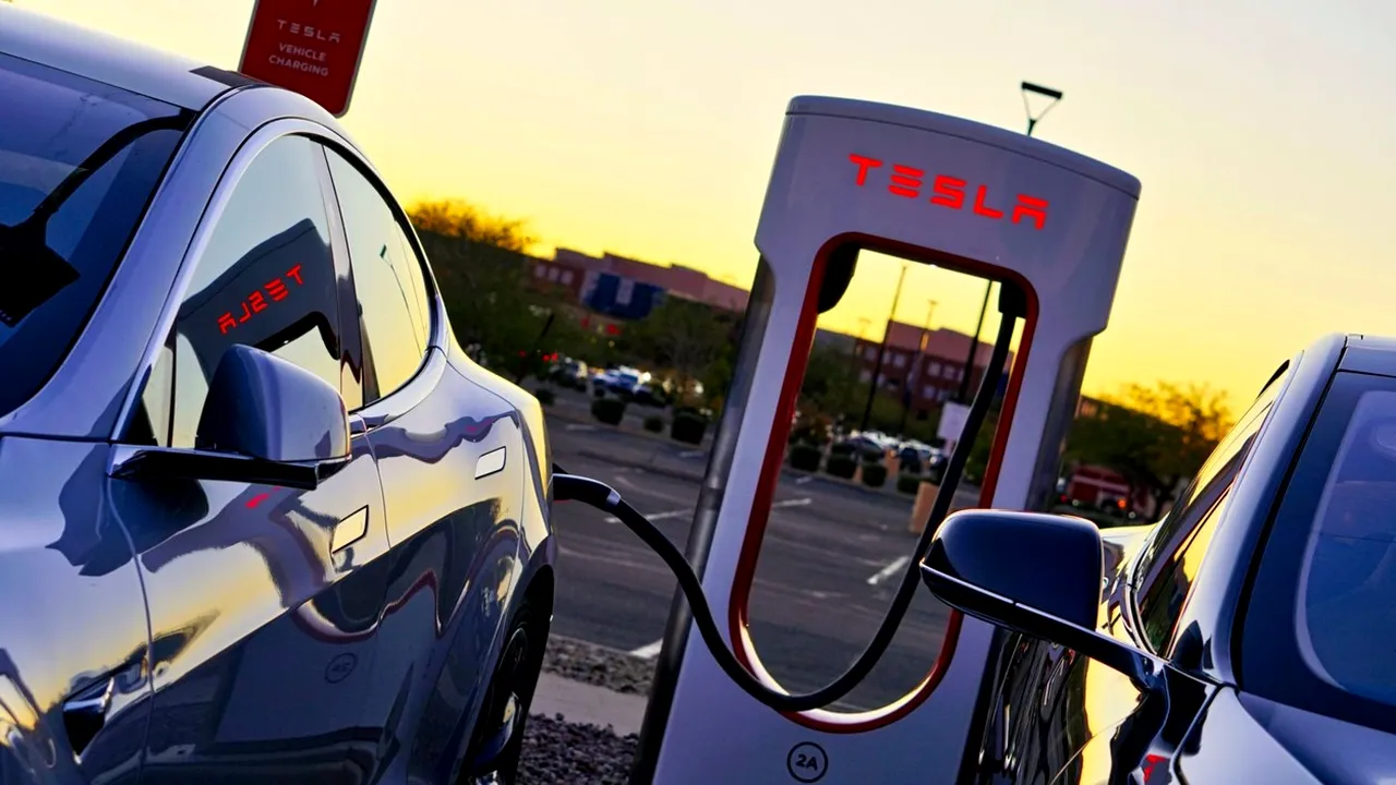 Probleme pentru Tesla: Un tribunal din Germania a oprit defrişarea pădurii pentru construirea fabricii din apropiere de Berlin 
