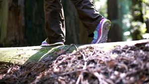 Aventurile unui tânăr algerian în România: a mers 100 de kilometri pe jos, a traversat ilegal frontiera şi a fugit din carantină