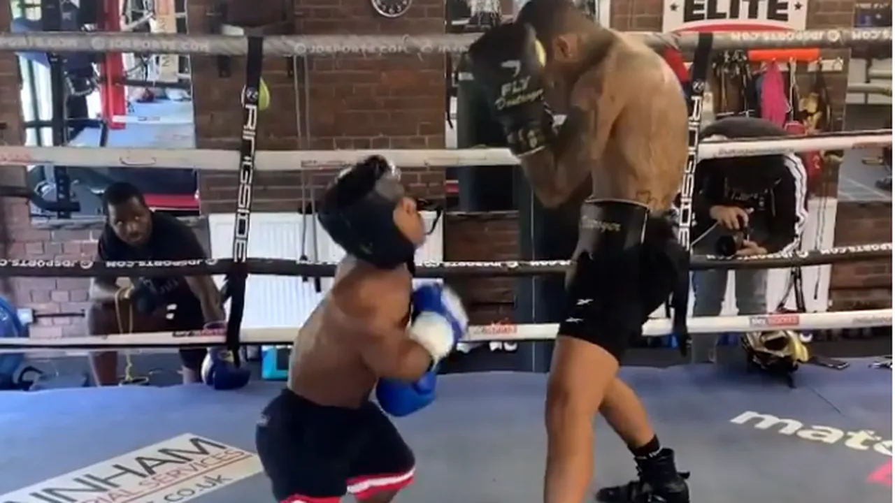 Buturuga mică răstoarnă carul mare. Aiden Henry, boxerul de un metru cu vise uriaşe