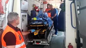 O simplă înțepătură de țânțar poate deveni fatală. Un medic dezvăluie cele 5 semne de alarmă