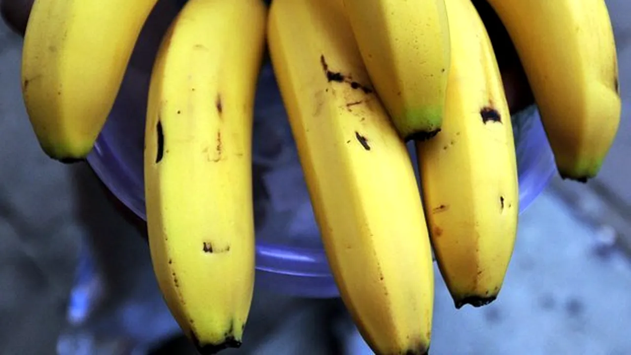 Optzeci de kilograme de cocaină, descoperite în lăzi cu banane aduse la un supermarket din Franţa