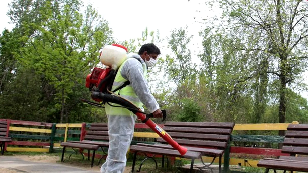 Tratamente împotriva căpuşelor în parcurile Floreasca, Bordei, Izvor, Carol, Cişmigiu şi Herăstrău 