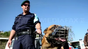 Măsurile analizate de UE pentru combaterea imigraţiei ilegale. Vezi care sunt