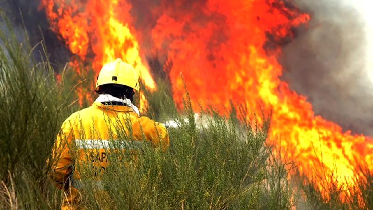 Aproximativ 100 de persoane evacuate din cauza incendiilor din Portugalia