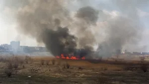 INCENDIU în Delta Văcăreşti din Capitală - ISU: Focul se întinde pe o suprafaţă de aproximativ 3.000 de metri pătraţi. 