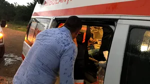 Cinci copii din judeţul Vaslui, în stare gravă după ce au mâncat ciuperci otrăvitoare