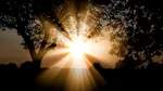 Cercetătorii au creat un dispozitiv care transformă lumina soarelui în combustibil