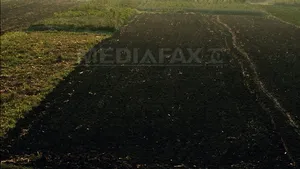 CE recomandă României şi Bulgariei să permită cetăţenilor din UE achiziţia de terenuri agricole