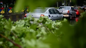 Copac în pericol să cadă la Spitalul Obregia din Capitală. Bolnavii au fost mutaţi