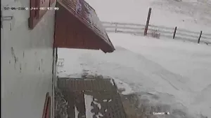 Staţiune ruptă de restul lumii, după ce vântul a doborât brazi pe drum. Zeci de oameni, izolaţi - FOTO şi VIDEO