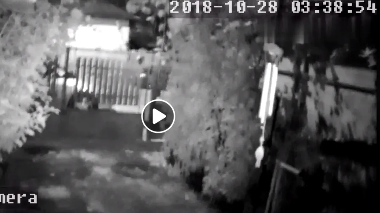 IMAGINI din timpul cutremurului. Seismul, surprins pe camerele de supraveghere. VIDEO postate în mediul online