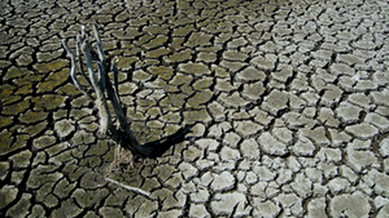Drought, Frost Damaged Over One Seventh Of Romanian Crops