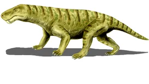 Fosile de reptilă, vechi de 250 de milioane de ani, descoperite în Niger