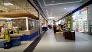 ALERTĂ în Târgu-Jiu: Un şarpe a fost descoperit într-un mall | FOTO