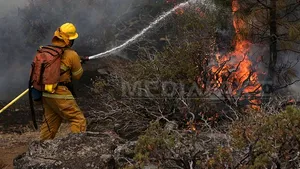 INCENDIUL din California se apropie de rezervorul de apă din San Francisco - FOTO