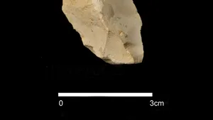 DESCOPERIRE arheologică importantă: Una dintre cele mai vechi unelte din Europa, descoperită în Spania