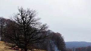 Sibiu: Troiţă ridicată la locul accidentului aviatic în care şi-au pierdut viaţa opt militari