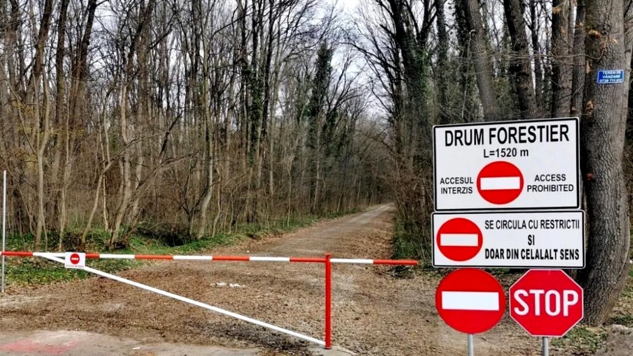 Mașinile nu mai au voie în pădurea Băneasa: Romsilva închide drumul forestier pentru traficul auto