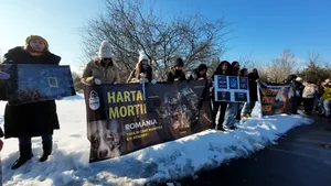 MP proposes setting up a commission on animal “killing centers”
