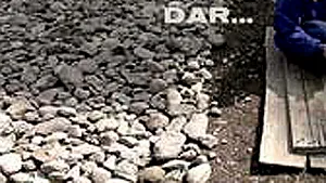 Romanian Documentary Wins Golden Dove Award At 2007 DOK Leipzig