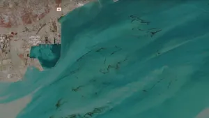 Deversări masive de petrol în Golful Persic, vizibile din spațiu, după atacuri asupra unor instalații și nave petroliere