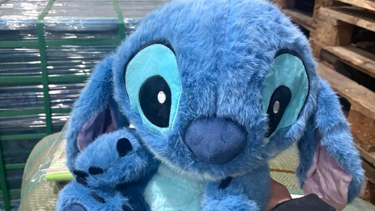 Captură în Portul Constanța: mii de jucării și genți posibil contrafăcute, ridicate de polițiști