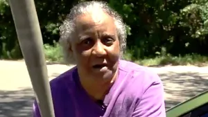 Hoţ de 135 de kg, snopit în bătaie de o străbunică FURIOASĂ: ”Ţipa de durere!” | FOTO