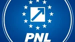 Gândul: Înregistrare explozivă din ședința PNL de la Vila Lac. Liberalii se încurajează reciproc să se desprindă de USR și Nicușor Dan și se gândesc deja la prezidențialele de peste 4 ani