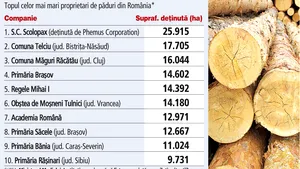 Harvard University, cel mai mare proprietar de păduri din România