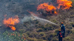 Incendii de vegetaţie în Portugalia. Trei pompieri au murit